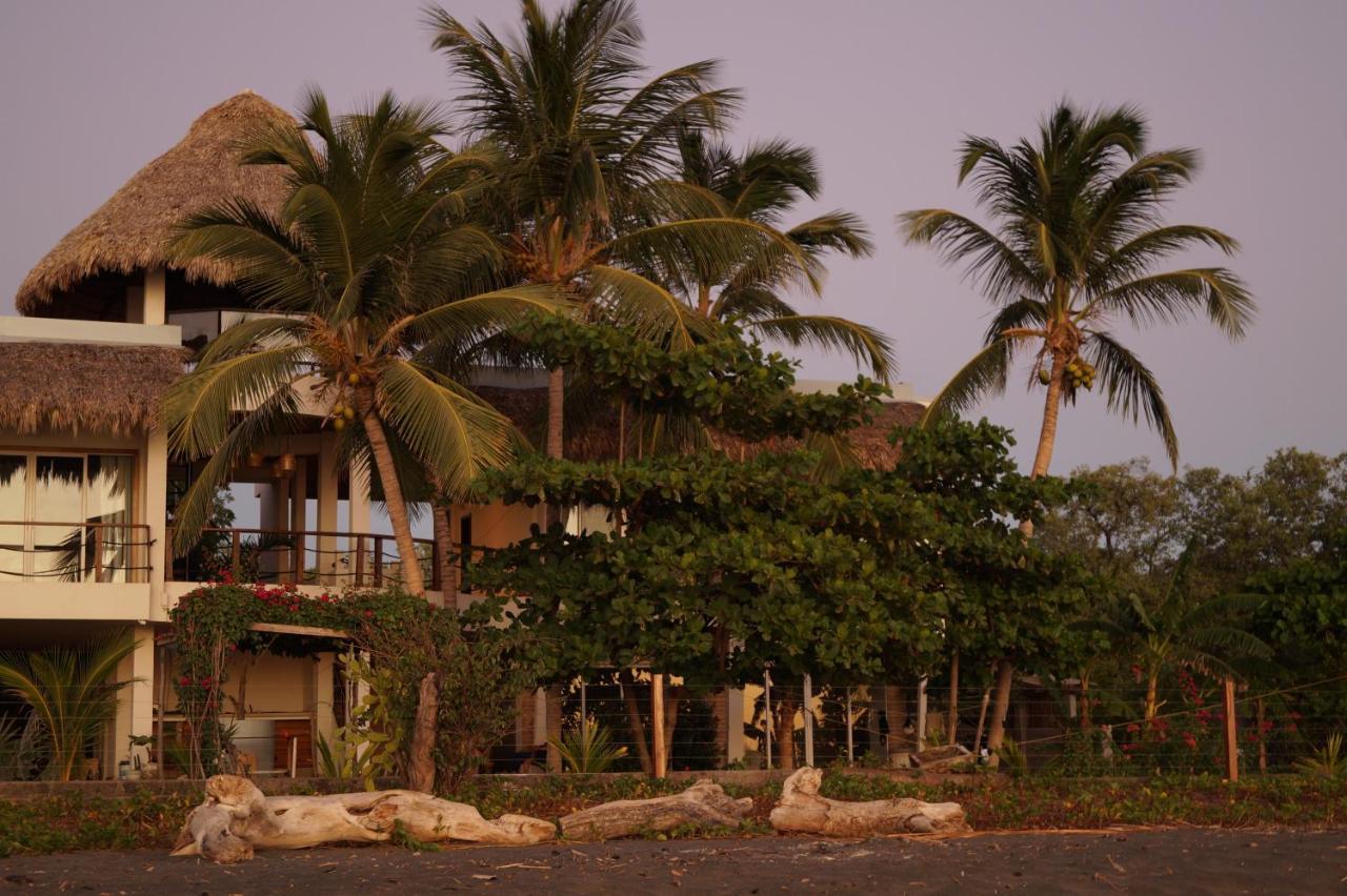 Alive Beach House Transito المظهر الخارجي الصورة