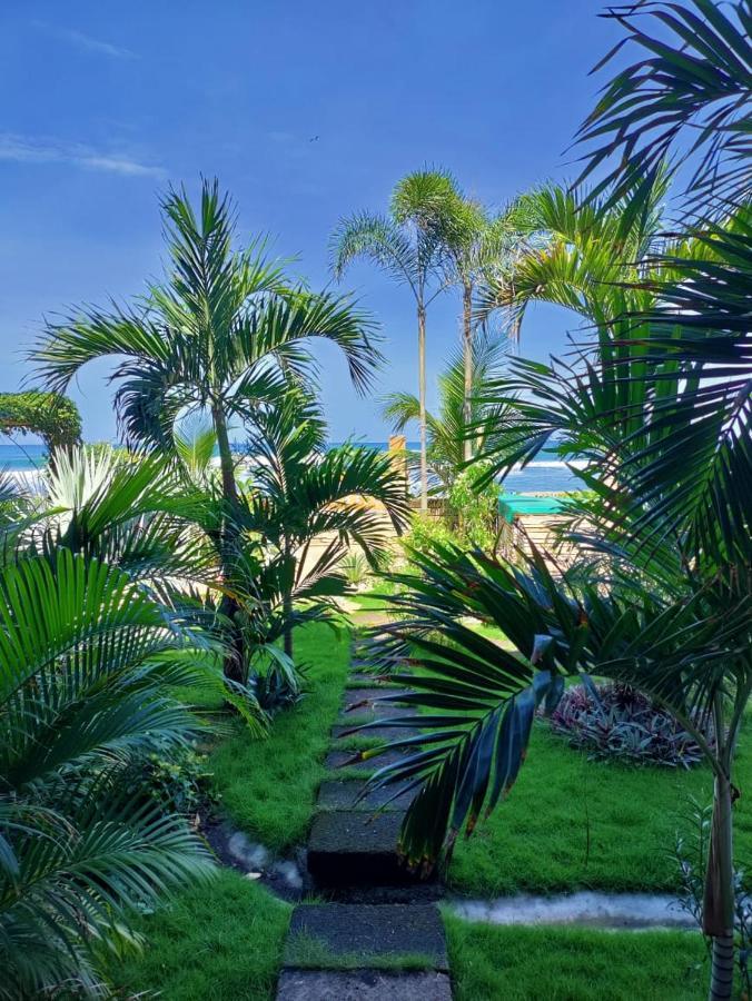 Alive Beach House Transito المظهر الخارجي الصورة