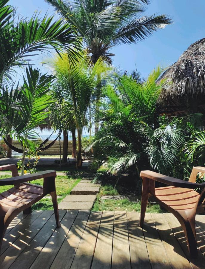 Alive Beach House Transito المظهر الخارجي الصورة